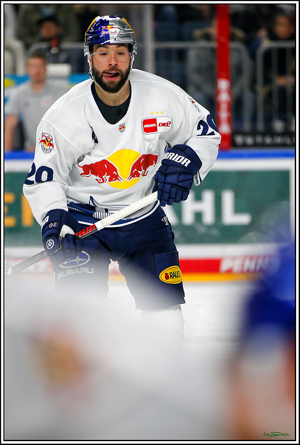 PENNY DEL; Koelner Haie- Red BUll Muenchen; Koeln, 08.11.2022